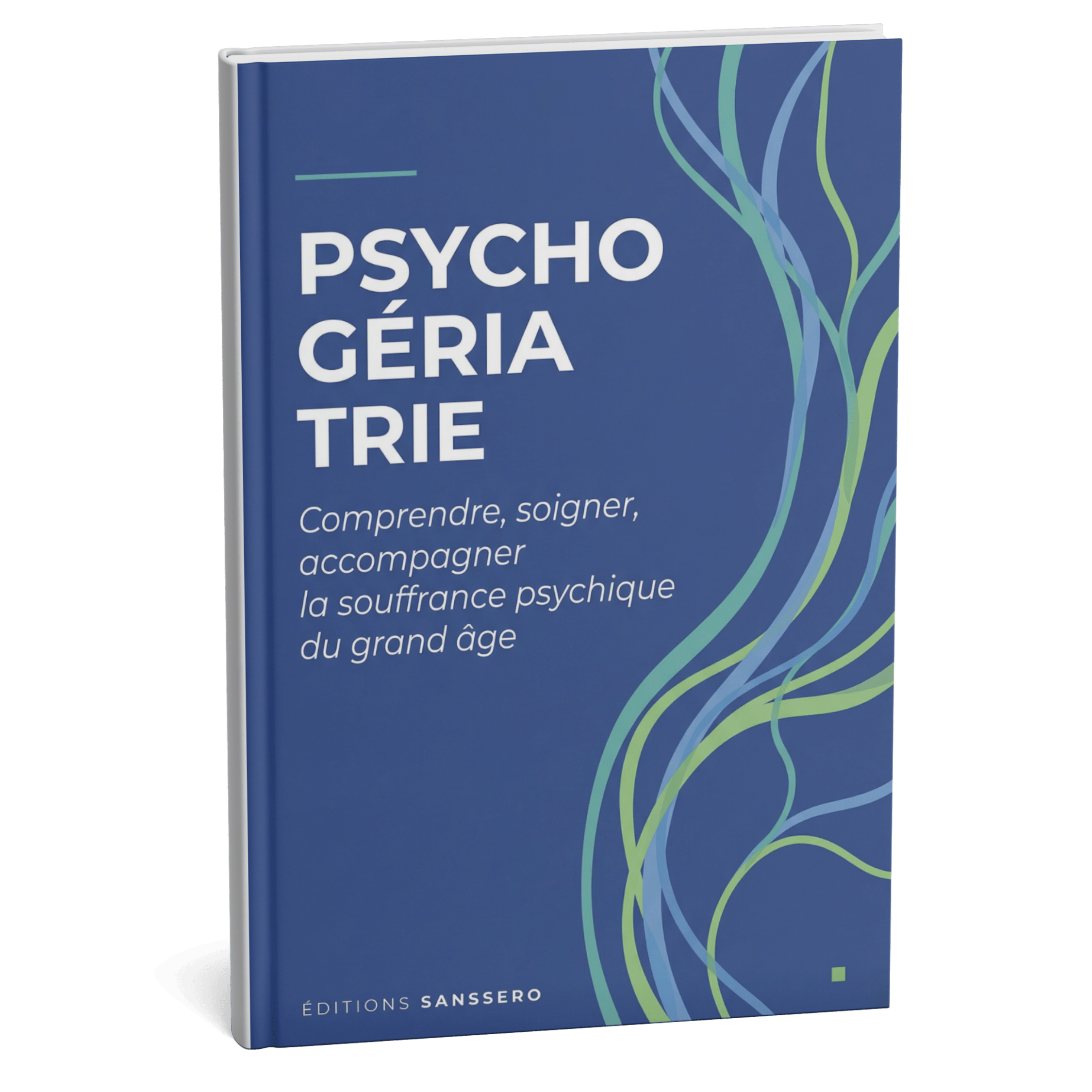 Psychogériatrie — Comprendre, soigner, accompagner la souffrance psychique du grand âge